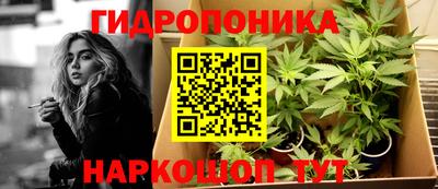 apvp Тулун