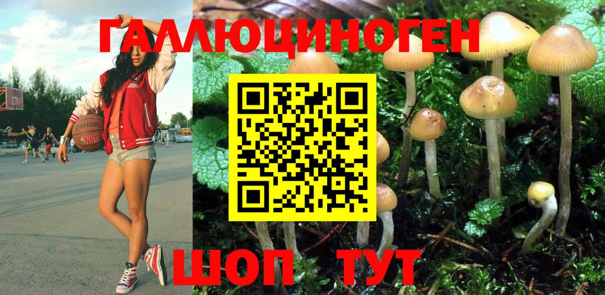 Галлюциногенные грибы GOLDEN TEACHER  Галлюциногенные грибы Psilocybine cubensis  Павлово  Вход с VPN 