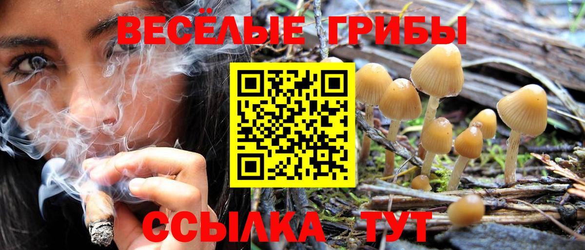 Псилоцибиновые грибы GOLDEN TEACHER Павлово